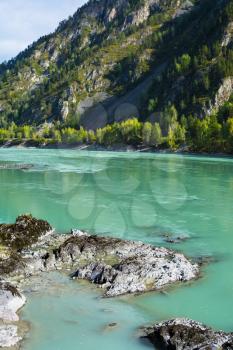 Vertical view of the rocks on the turquoise river bottom flowing between the rocks of the mountains, Katun river, Altai Mountains, Russia
