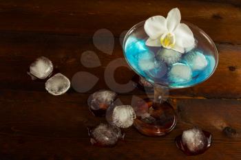 Cocktail Blue Martini top view. Blue cocktail. Blue Martini. Blue margarita. Blue Hawaiian cocktail. Blue Lagoon. Blue curacao liqueur