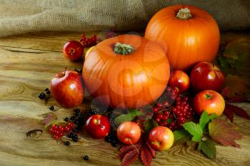 Harvest concept  with pumpkins, berries and apples. Thanksgiving background with seasonal vegetables and fruits.