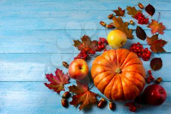 Pumpkin, apples, berries, acorns and fall leaves on blue background copy space. Thanksgiving background with seasonal vegetables and fruits