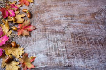Thanksgiving  concept with acorn and fall leaves on wooden background. Thanksgiving background with fall leaves. Fall background. Copy space.