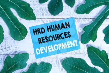 Word writing text Hrd Huanalysis Resources Development. Business photo showcasing helping employees develop demonstratingal skills