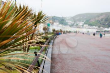 Palm leaves in foreground focus with blurred background. Blurred road with people walking. Abstract photo with blurred people and objects. Blurred mountains in the background.