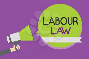 Text sign showing Labour Law. Conceptual photo Rules implemented by the state between employers and employee Man holding megaphone loudspeaker green speech bubble purple background