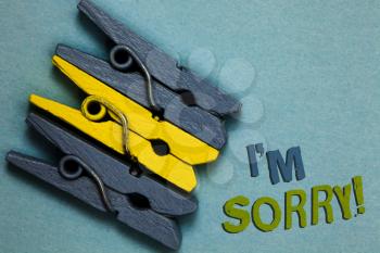 Conceptual hand writing showing I am Sorry. Business photo text To ask for forgiveness to someone you unintensionaly hurt Gray yellow vintage clothespins clear background Holding things