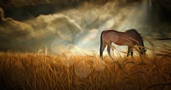 Oil painting. Serenity. Horse grazes on the field. Sunbeams and dramatic clouds.