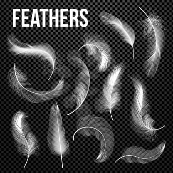 Feathers Set Vector. Different Falling White Fluffy Twirled Feathers. Feather Bird, Soft White Plume Design. Insomnia, Healthy Sleep, Dreams Concept. Transparent Realistic Illustration