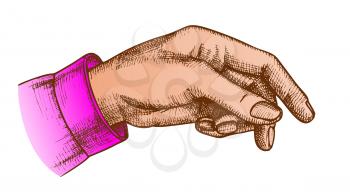 Color Female Hand Pointer Finger Showing Gesture Vector. Elegant Woman Arm Index Finger Arrow Suggesting On Something. Girl Forefinger Wrist Gesturing Choice Closeup Cartoon Illustration