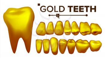 Gold Tooth Vector. Metal Golden Human Teeth. Old Pirate. Realistic Isolated Illustration