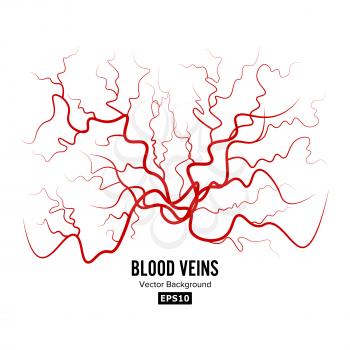 Human Blood Veins Vector. Red Blood Vessels Design. Illustration Isolated On White