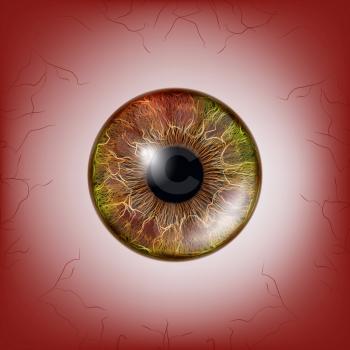 Red Eye. Scary Bloody Realistic Eyeballs. Spooky Human Eyeball With Grunge Blood Splatter. Vector illustration