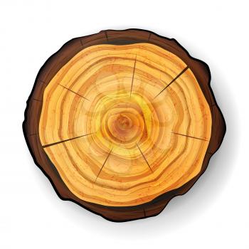 Cross Section Tree Wooden Stump Vector. Realistic Illustration. Isolated On White Background