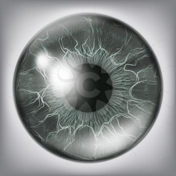 Human Eye Iris Vector. 3D Realistic Eyeball Illustration
