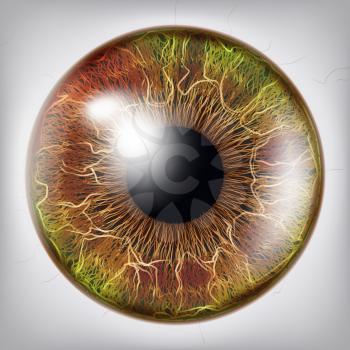 Human Eye Iris Close Up Vector. Healthy Medical Concept Illustration