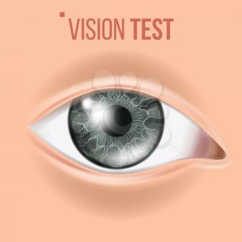 Human Eye Vector. Vision Concept. Clinic Medical Eye Diagnostic. Realistic Detail Illustration