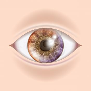 Human Eye Vector. Visual Examination. Body Check. Realistic Anatomy Illustration
