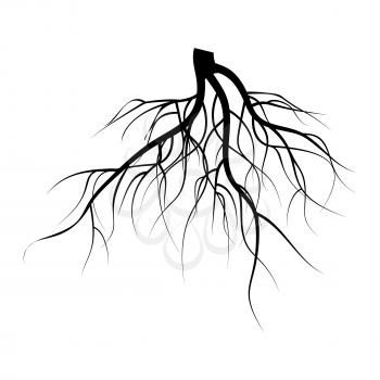 Tree Underground Roots Vector Set. Illustration Isolated