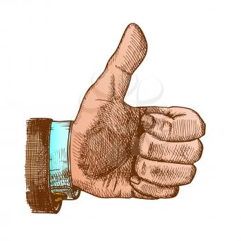 Male Hand Make Gesture Thumb Finger Up Vector. Businessman Showing Gesture Sign Like Good Emotion And Expression. Man Wrist Gesturing Signal Color Hand Drawn Closeup Illustration