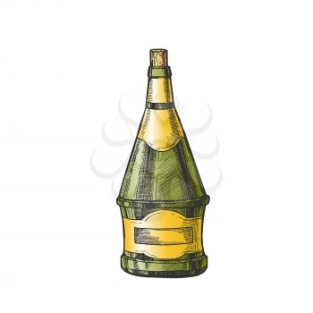 Conical Hand Drawn Blank Bottle Of Wine Vector. Ink Design Sketch Modern Bottle Of Grape Alcoholic Liquid. Concept Color Mockup Glass Container Template Cartoon Illustration