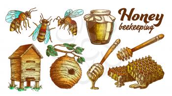 Collection Honey Beekeeping Apiary Set Vector. Glass Bottle And Slice Honeycomb, Wooden Hive And Wild On Branch Beehive House, Honey Dipping Stick And Bee. Color Designed Illustrations