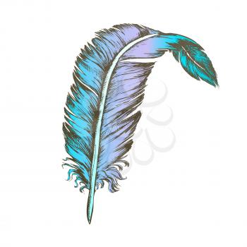 Color Decorative Bird Element Feather Vintage Vector. Standing Feather Cover Exterior Flyer Body Detail Writer Ancient Ink Tool. Template Designed In Retro Style Illustration