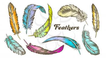 Color Different Feathers Set Ink Vector. Standing, Flying And Lying Fluffy Bird Feathers. Epidermal Growths Form Distinctive Outer Covering Or Plumage. Hand Drawn Illustrations