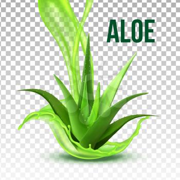 Realistic Foliage Green Plant Aloe Vera Vector. Medicinal Plant With Fresh Splash Juice On Transparency Grid Background. Constituent Of Cosmetology And Pharmacy Lotion Or Cream Realistic Illustration