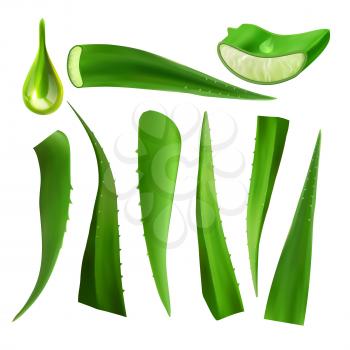 Medical Succulent Aloe Vera Elements Set Vector. Realistic Cutting Leaves And Drop Of Juice Details Of Medical Green Plant. Constituent Of Skincare Lotion Or Cosmetic Cream. Realistic Illustration