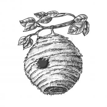 Bee Hive House Of Wild Insect On Branch Vector. Engraved Organic Nature Wax Bee Home Beehive With Circular Entrance For Flying Animal Colony On Leaves Tree. Monochrome Cartoon Illustration