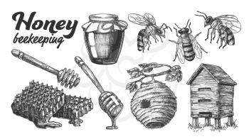 Collection Honey Beekeeping Apiary Set Vector. Glass Bottle And Slice Honeycomb, Wooden Hive And Wild On Branch Beehive House, Honey Dipping Stick And Bee. Monochrome Designed Cartoon Illustration