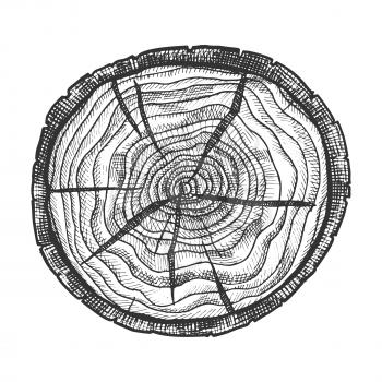 Round Wooden Cross Section With Tree Rings Vector. Circle Cracked Tree Hardwood Trunk Element Log Stump Timber. Carpentry Material Monochrome Black And White Hand Drawn Cartoon Illustration