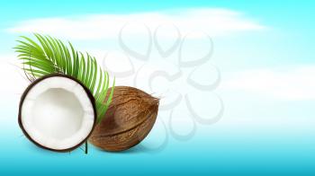 Tropical Coconut And Palm Branch Copy Space Vector. Whole And Damaged Freshness Coconut And Exotic Tree Green Leaves. Cracked Eatery Vitamin Coco Nut Template Realistic 3d Illustration