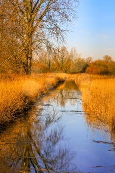 Late afternoon winter sunshine on the Wetlands at Fowlmere Nature Reserve