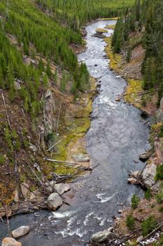 View of the Gibbon River in Yellowstone