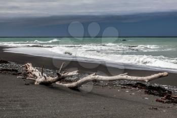 Driftwood on Rarangi beach