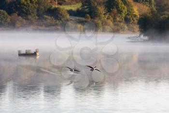 Misty morning at Weir Wood Reservoir