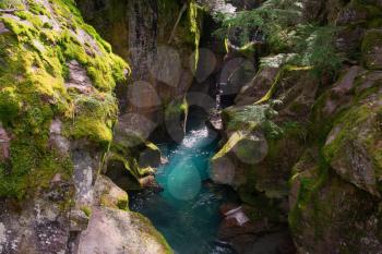 Looking into Avalanche Creek