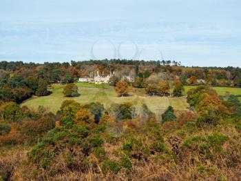 Scenic View of the Ashdown Forest in Sussex