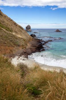 View of Sandfly Bay in the South Island of New Zealand