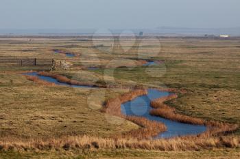 View of Elmley Marshes on a sunny winters day