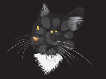 Cartoon cat with yellow eyes on black background.