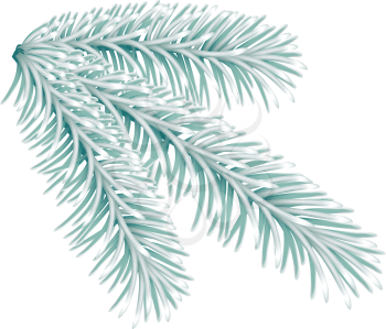 Decorative branch of fir tree in light green color