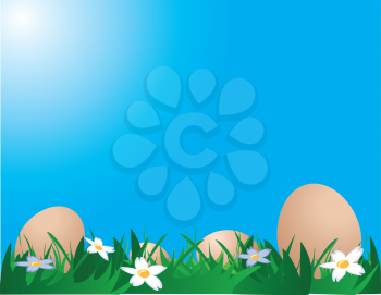 Illustration of chicken eggs on the grass against blue sky