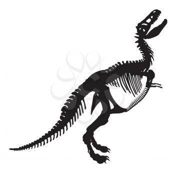 Black silhouette of a tyrannosaurus rex skeleton on white background.