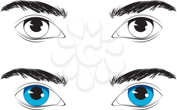Detailed male eyes with eyebrows on white background.