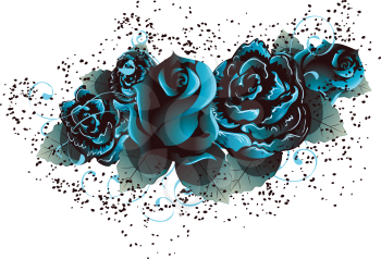 Dark blue rose flowers with leaves on white background.