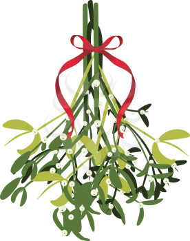 Decorative mistletoe branches with white berries illustration.