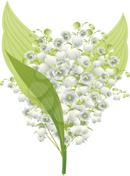 Spring flowers lily of the valley illustration on white background.