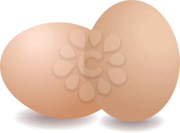 Illustration of two eggs isolated on white background
