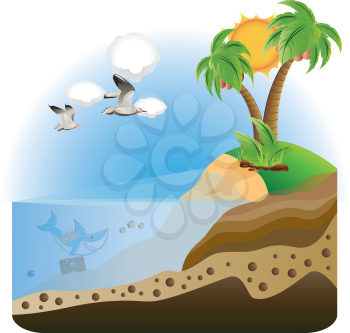 Cartoon treasure island with palm trees, seagulls and shark.